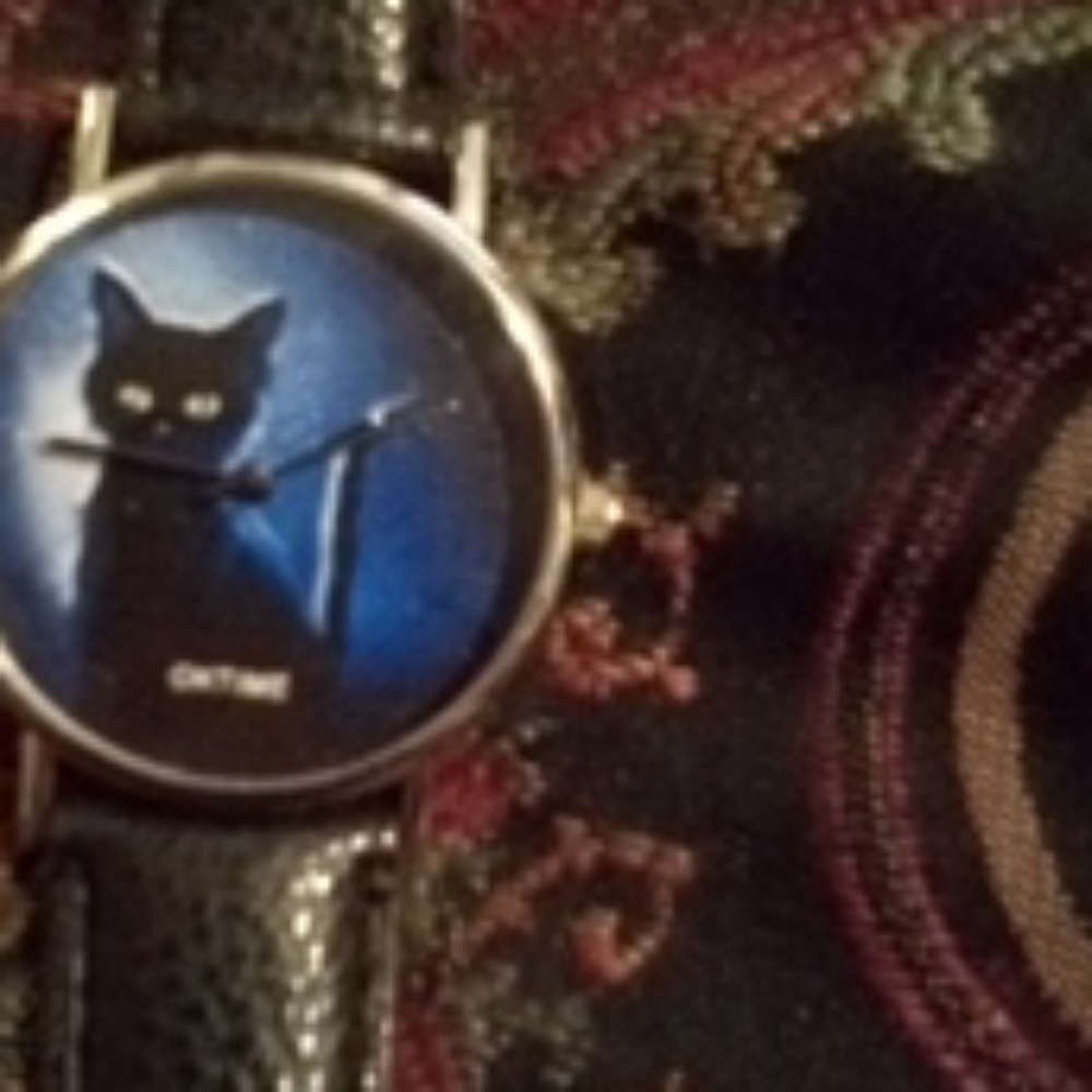 Ontime black cat watch